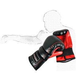 Boxing gloves InSPORTline Punchy