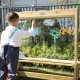 CLASSIC WORLD EDU dvipusis tapybos molbertas su vandens purkštuvu