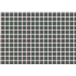 Daugkartinis Seilinukas 50x90cm, Pilkas