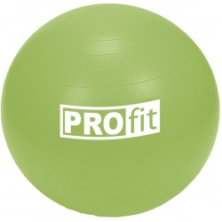 Gimnastikos kamuolys PROFIT 55cm su pompa