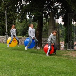 Šokinėjimo Kamuolys Original Tonkey Globetrotter Big 53 cm