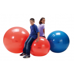 Kamuolys Physio Gymnic 85 cm