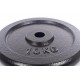 Metalinis diskas štangoms ir hanteliams 10kg (31,5mm)