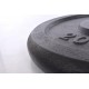 Metalinis svoris štangoms ir hanteliams 20kg