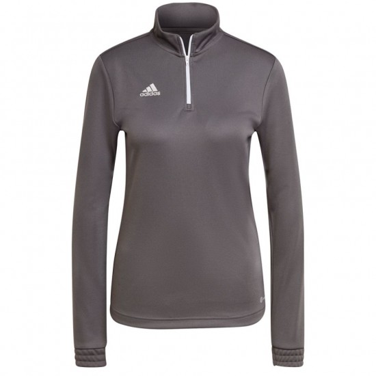Moteriškas Džemperis Adidas Entrada 22 Pilka h57542