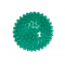 Dygliuotas Masažo Kamuoliukas REFLEXBALL 10 cm