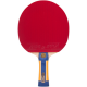 Stalo Teniso Raketė ATEMI 1000 AN