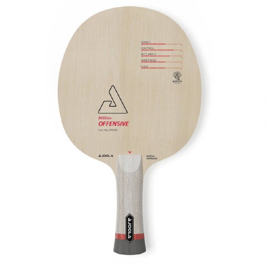 Stalo teniso raketės pagrindas JOOLA BASEline Off, ST rankena (tiesi)