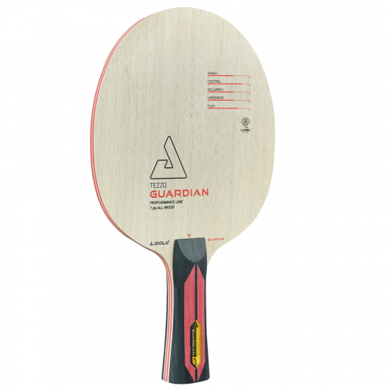 Stalo Teniso Raketės Pagrindas JOOLA Tezzo Guardian, ST