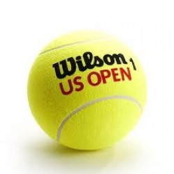 Teniso kamuoliukai WILSON US OPEN 3 vnt