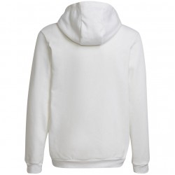 Vaikiškas Džemperis Adidas Entrada 22 Hoody Baltas HG6303