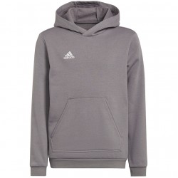 Vaikiškas Džemperis Adidas Entrada 22 Hoody Pilka H57515