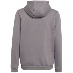 Vaikiškas Džemperis Adidas Entrada 22 Hoody Pilka H57515