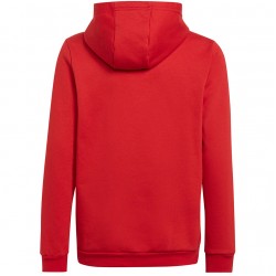 Vaikiškas Džemperis Adidas Entrada 22 Hoody Raudonas H57566