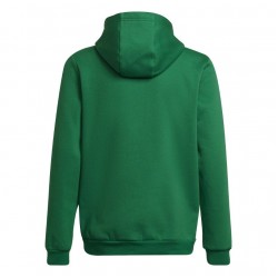 Vaikiškas Džemperis Adidas Entrada 22 Hoody Žalia HI2143