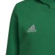 Vaikiškas Džemperis Adidas Entrada 22 Hoody Žalia HI2143