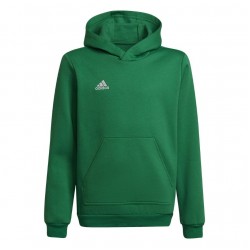 Vaikiškas Džemperis Adidas Entrada 22 Hoody Žalia HI2143