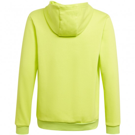 Vaikiškas Džemperis Adidas Entrada 22 Lime Hoody HC5069