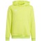 Vaikiškas Džemperis Adidas Entrada 22 Lime Hoody HC5069
