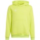Vaikiškas Džemperis Adidas Entrada 22 Lime Hoody HC5069