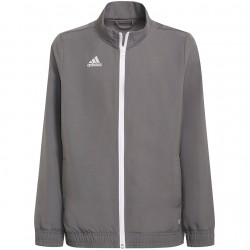 Vaikiškas Džemperis Adidas Entrada 22 Pilka H57539
