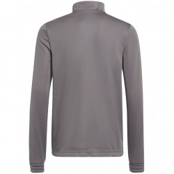 Vaikiškas Džemperis Adidas Entrada 22 Pilka H57549