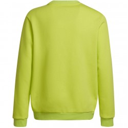 Vaikiškas Džemperis Adidas Entrada 22 Žalias HC5043