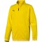 Vaikiškas džemperis Puma Liga Training Jacket 655688 07