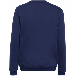Vaikiškas Megztinis Adidas Entrada 22 Sweat Top