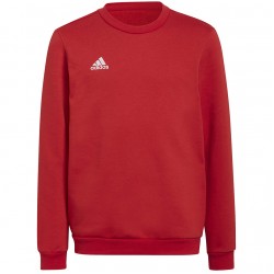 Vaikiški Megztiniai Adidas Entrada 22 Sweat Top