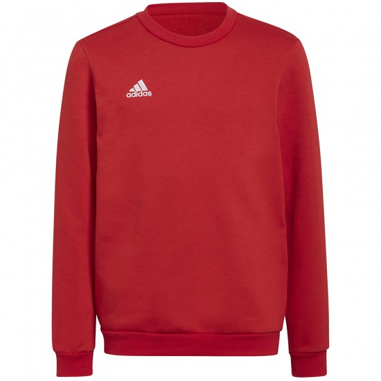 Vaikiški Megztiniai Adidas Entrada 22 Sweat Top
