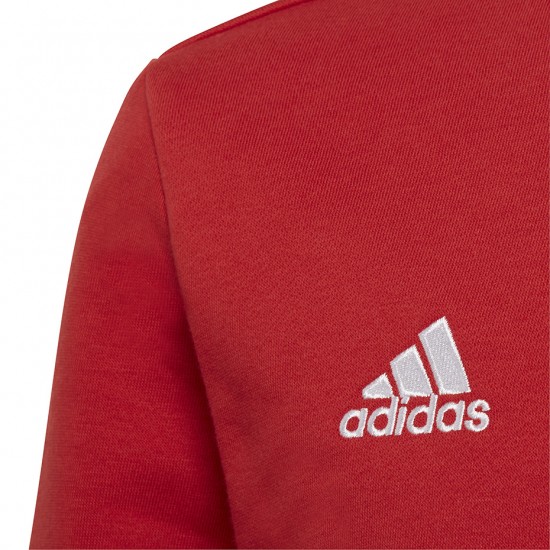 Vaikiški Megztiniai Adidas Entrada 22 Sweat Top