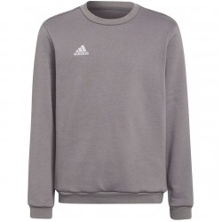 Vaikiški Megztiniai Adidas Entrada 22 Sweat Top
