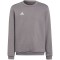 Vaikiški Megztiniai Adidas Entrada 22 Sweat Top
