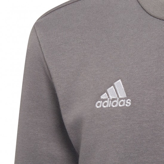 Vaikiški Megztiniai Adidas Entrada 22 Sweat Top