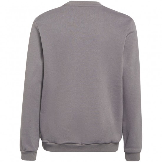 Vaikiški Megztiniai Adidas Entrada 22 Sweat Top