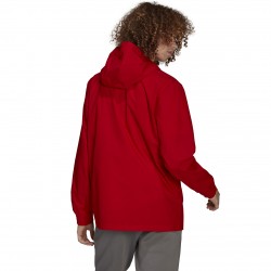 Vyriška Striukė Adidas Entrada 22 All-Weather