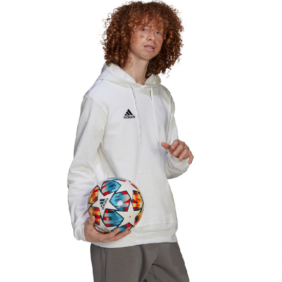 Vyriškas Džemperis Adidas Entrada 22 Hoody Baltas HG6302