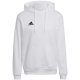 Vyriškas Džemperis Adidas Entrada 22 Hoody Baltas HG6302