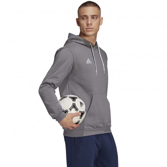 Vyriškas Džemperis Adidas Entrada 22 Hoody Pilkas HB0578