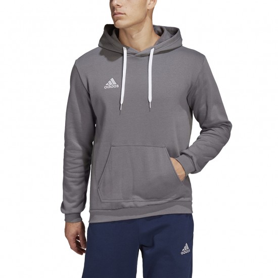 Vyriškas Džemperis Adidas Entrada 22 Hoody Pilkas HB0578