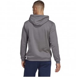 Vyriškas Džemperis Adidas Entrada 22 Hoody Pilkas HB0578