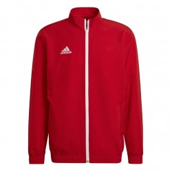 Vyriškas Džemperis Adidas Entrada 22 Prezentation Raudona H57536
