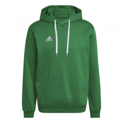 Vyriškas Džemperis Adidas Entrada 22 Sweat Hoodie Žalias HI2141