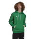 Vyriškas Džemperis Adidas Entrada 22 Sweat Hoodie Žalias HI2141