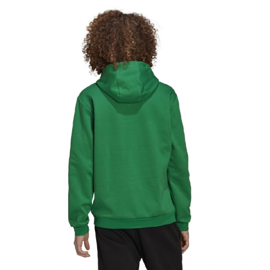 Vyriškas Džemperis Adidas Entrada 22 Sweat Hoodie Žalias HI2141