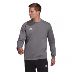 Vyriškas Džemperis Adidas Entrada 22 Sweat Top Pilka H57479