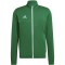 Vyriškas Džemperis Adidas Entrada 22 Track Jacket Žalias HI2135