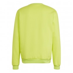 Vyriškas Džemperis Adidas Entrada Žalias HC5049