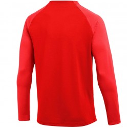 Vyriškas Džemperis Nike Dri-FIT Academy Raudonas DH9230 657